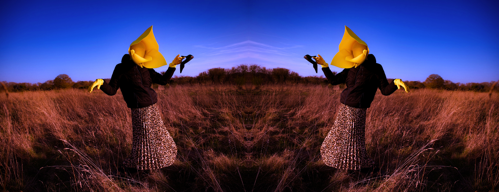 a woman has a yellow gorse flower mask for a head, in the middle of open marshland